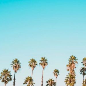 Meet your Posher, Mikaela